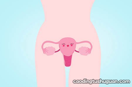怀孕后肚子上的黑线是怎么回事