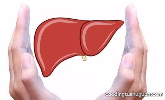 肝脏不好的症状 10招帮女人保护肝脏