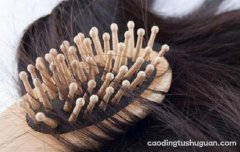 女性脱发的八大原因 防脱发的食谱来预防