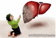 肝脏的作用：肝脏能做什么？为什么要养肝？