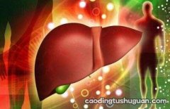 肝脏的分区之正中裂 肝脏的正中裂是什么