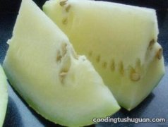 孕妇可以吃三白瓜吗