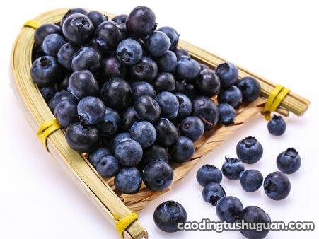 孕妇吃蓝莓会过敏吗