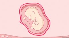 怀孕肚子大小跟胎儿发育有关系吗