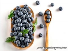 孕妇吃蓝莓的禁忌