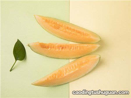 减肥的人能吃哈密瓜吗