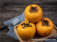 脆柿子的热量是多少 吃脆柿子能减肥吗