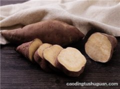 孕妇吃红薯长胎是真的吗