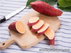 板栗红薯是转基因食品吗