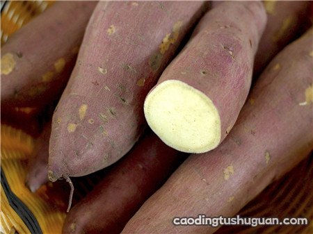 红薯怎么吃可以减肥