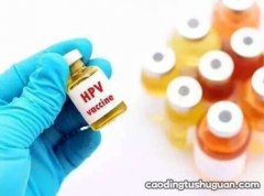 HPV疫苗对胎儿的影响