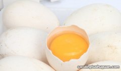 孕妇八个月了吃鹅蛋还有用不 孕妇几个月吃鹅蛋去黄疸