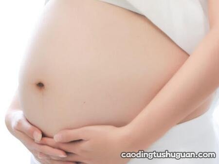 怀孕8个月需要补什么营养