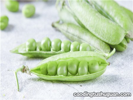 孕妇吃豌豆怎么做好吃