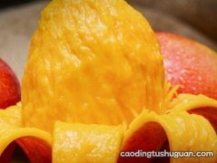 孕妇发烧可以吃芒果吗
