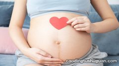 怀孕早期有哪些注意事项
