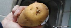 发芽的土豆怎样处理