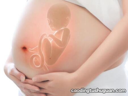 胎儿心脏什么时候发育完全