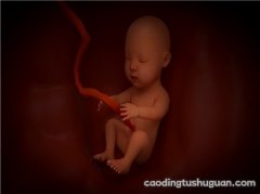 孕妇碱性磷酸酶偏高对胎儿有影响吗