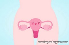怀男孩两个月孕囊图片 你所不知道的孕囊形状
