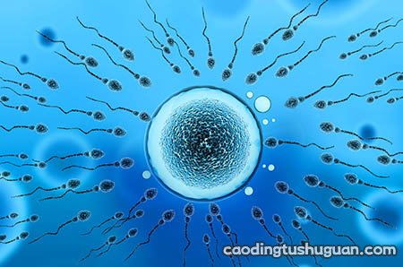 输卵管造影和输卵管通水有何区别？你知道吗？