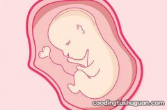 备孕中的女性要了解身体的这些状况！