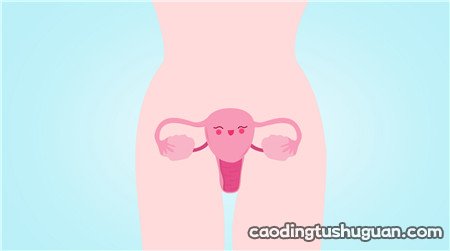 多囊卵巢跟宫寒有关系吗 多囊是宫寒引起的吗？