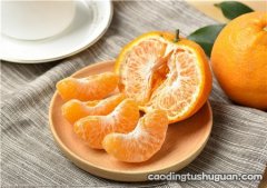 胆结石患者可以吃橘子吗 橘子有刺激性吗？