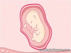 孕妇便秘b超会增大胎儿体重吗