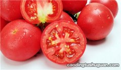 口腔溃疡吃西红柿好不好 西红柿能促进溃疡愈合吗？