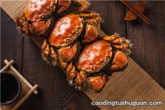 体寒的人可以吃螃蟹吗 螃蟹真的是大忌吗？