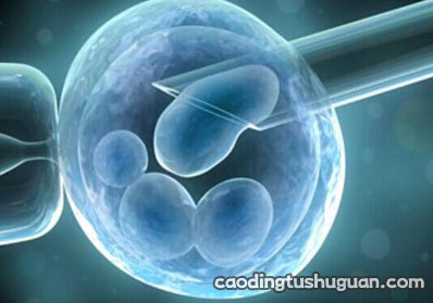 抗卵巢抗体阳性可以吃促排卵的药吗