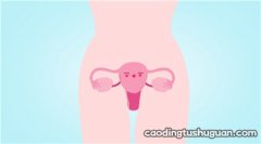 冻胚移植后为什么会有宫外孕发生