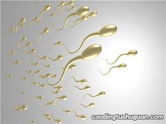 附睾炎对精子有什么影响