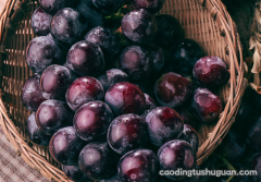 试管移植后可以吃什么水果帮助消化