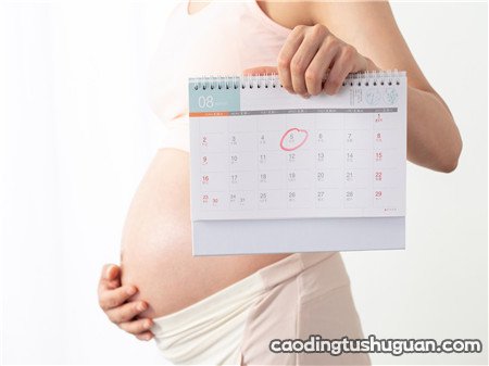 孕23周胎儿腹围参考值 孕23周胎儿腹围多少正常
