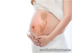 孕35周胎儿股骨长标准