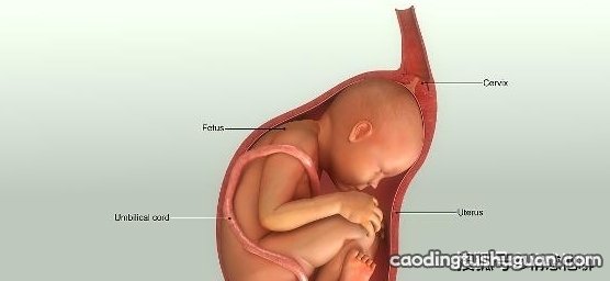 孕妈若是O型血，宝宝出生时，可能会带来这些好处