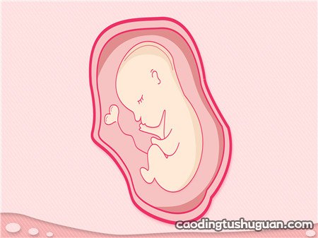 怀孕几周可以称为胎儿 需要等腹中的宝宝到了这个孕周时才行