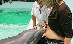 孕妇被海豚亲切地蹭肚子，去检查，医生：它的叫声被称为自然
