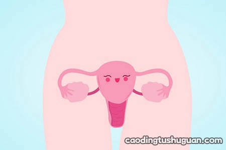 怀孕7周雌二醇正常值是多少