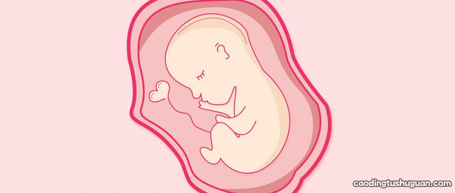 怀孕四个月男胎儿图