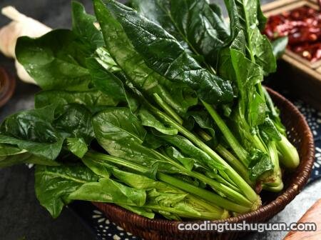 春天吃什么蔬菜好？这4种蔬菜鲜嫩且富含叶酸，孕妇小孩建议多吃?