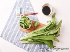 春天吃什么蔬菜好？这4种蔬菜鲜嫩且富含叶酸，孕妇小孩建议多吃?