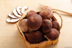 香菇祛湿怎么吃最好 香菇食谱推荐