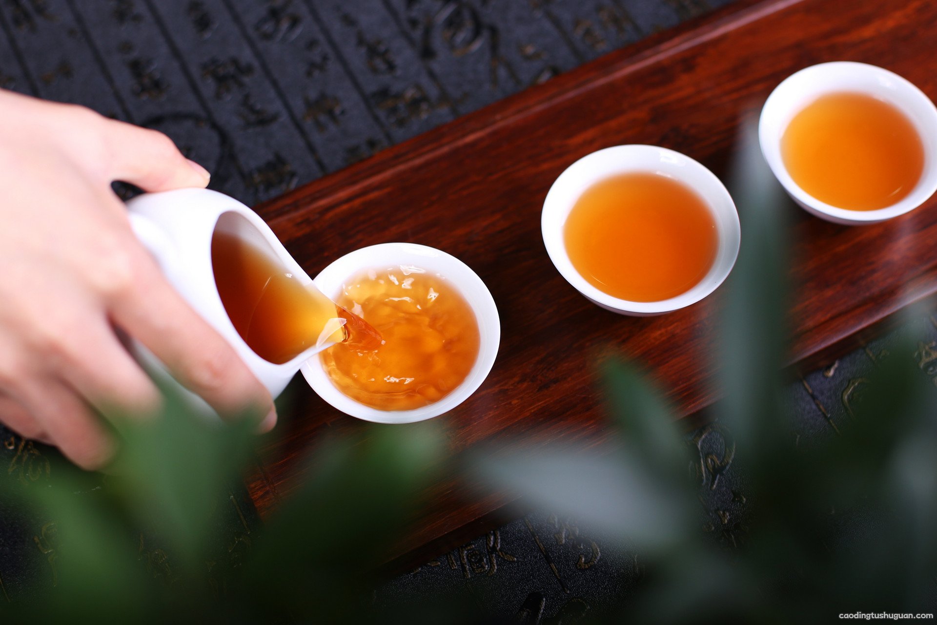喝什么茶可以预防脂肪肝