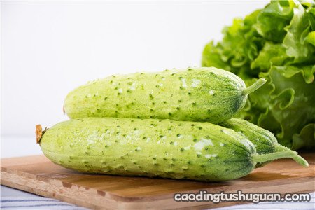 黄瓜的食用功效 黄瓜的营养吃法