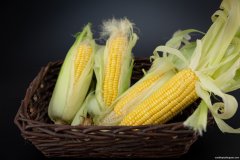 玉米的养生功效