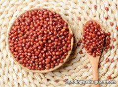 夏季红豆怎么吃最好