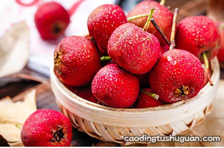 吃水果对试管移植后的血糖有影响吗？